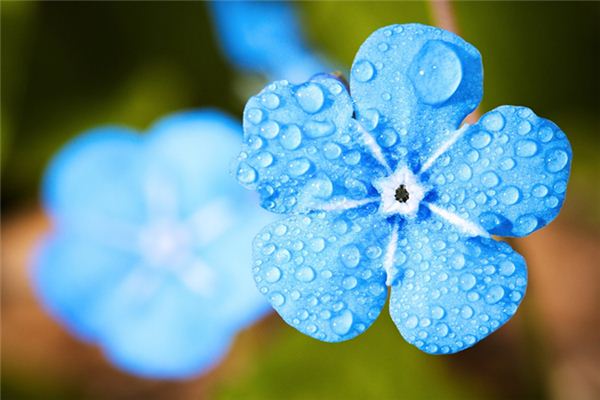 梦见春天细雨是什么意思